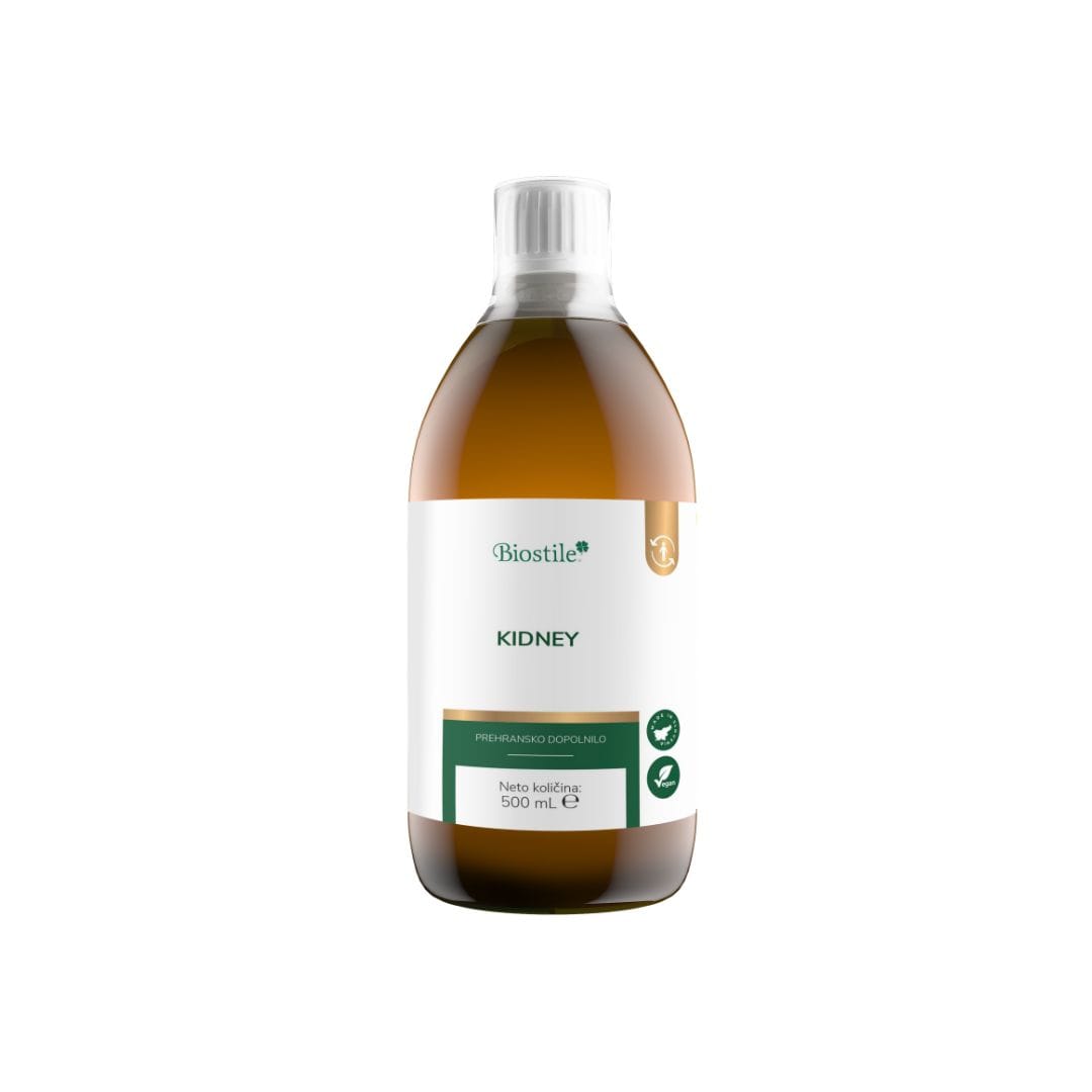 Kidney